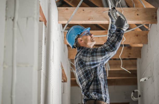 Best Local Electrician Companies  in Paw Paw Lake, MI