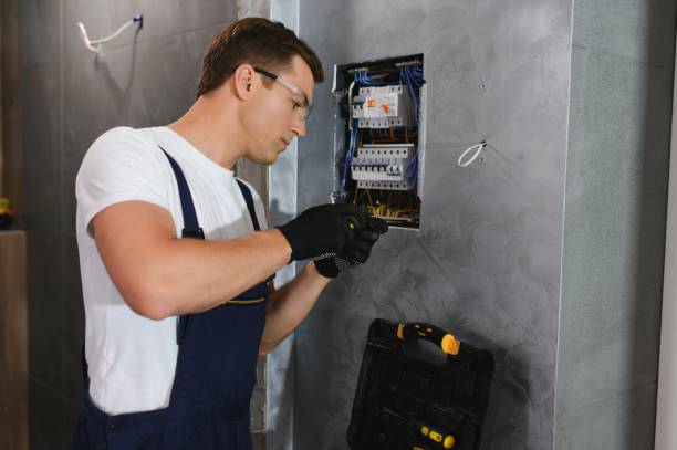 Best Generator Installation Services  in Paw Paw Lake, MI