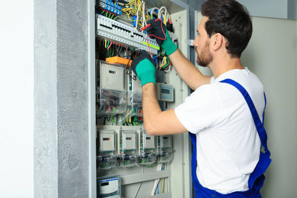 Best Industrial Electrical Services  in Paw Paw Lake, MI