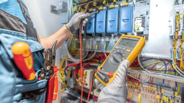 Best Licensed Electrician  in Paw Paw Lake, MI