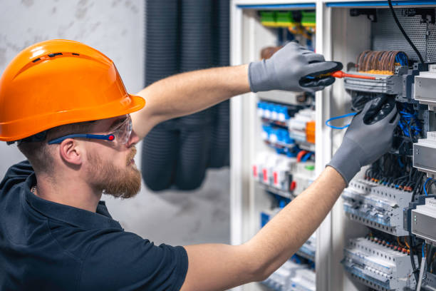 Best Affordable Electrician  in Paw Paw Lake, MI